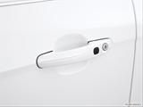  Drivers Side Door handle photo